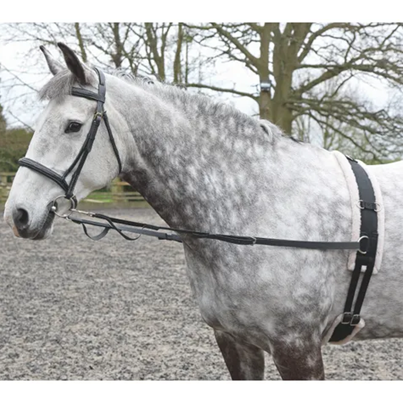 Shires Nylon Web Side Reins-1